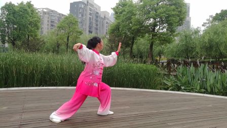 四十式太极拳