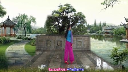 张春丽广场舞 六尺巷 表演（个人） 10