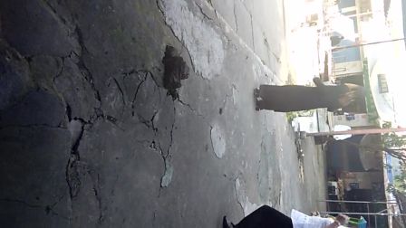 迪斯科广场舞高清