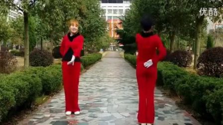 邵东跳跳乐中老年健身操第十套正反面教学版