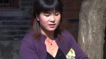 民间小调《没妈的孩子像根草》第四集  民间小调刘晓燕下载