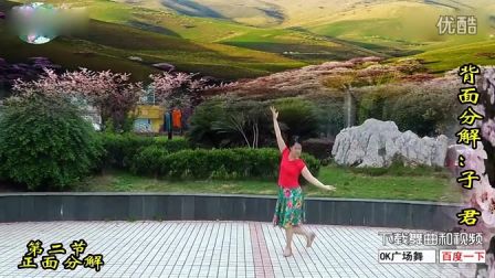 高安子君广场舞《草原上的山杏花 》附背面