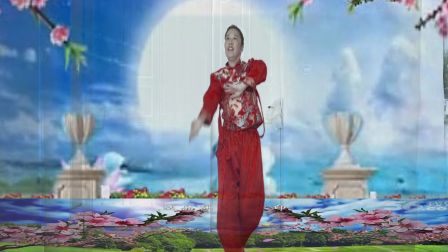 盐湖玲玲广场舞《梅花泪》