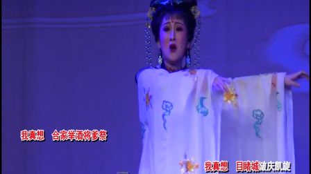 潮剧愿亲人长欢寿百年  陈婷婷 《广东百花