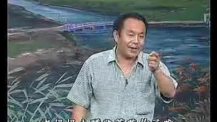 民间小调《争媳妇》03集
