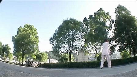 陈氏太极拳（老架一路）