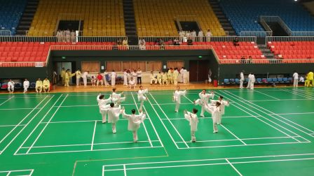 杨氏27式太极拳