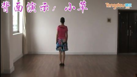 高安子君广场舞原《香草》（附背面和分解）