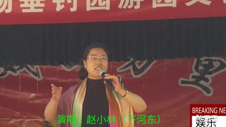 上党落子《下河东》选段