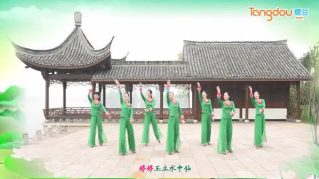 正面张春丽广场舞《江南音诗》原创附教学