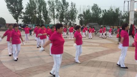 唐官屯一街公园中老年健身操队（红舞联盟健身