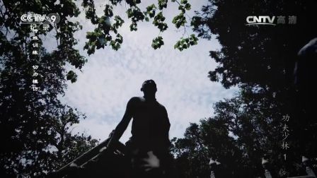 功夫少林易筋经