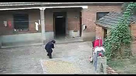 安徽民间小调 风流女乞丐民间小调刘晓燕下载