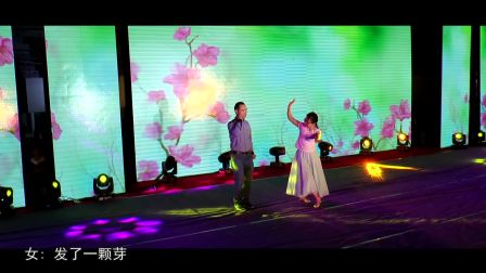 黄梅戏《对花》高清