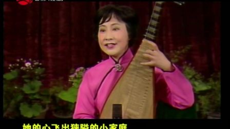 弹词选段《青春之歌 分歧》赵开生石文磊弹