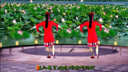 2017最新吕芳广场舞《梨山痴情花》正背面及