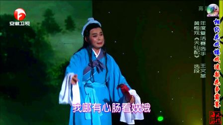 HD 黄梅戏《天仙配》选段 王文革等下载
