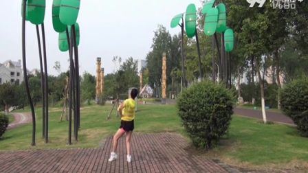 美久广场舞《等到山花开》分解教学和背面展示标清下载