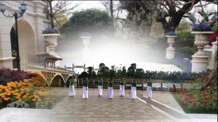 江西丰城梅林敏广场舞团队《嫦娥》编舞廖弟