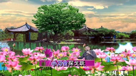 潮剧选段《马老师细语谈古人》演唱 黄洁林