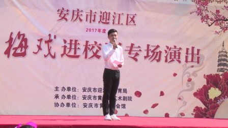 黄梅戏进华一