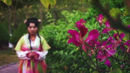 望春风歌仔戏《桃花劫》第二集