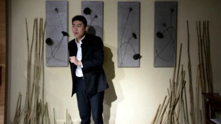 杜鑫杰评书《火烧琵琶精》
