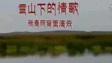 张春丽广场舞《雪山下的情歌》正背面 编舞