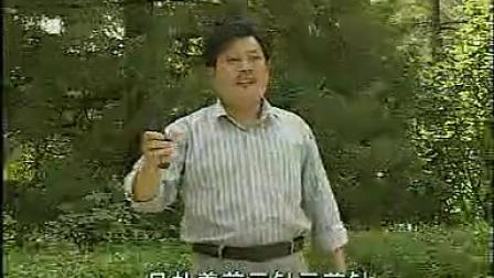 河南坠子《小八义》贾氏女梳头  《河南坠子》下载