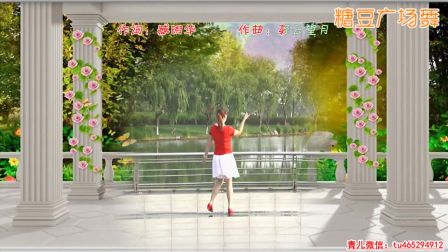 青儿广场舞《三生石上一滴泪》水兵舞背面