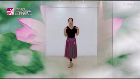 灵芝王梅广场舞《新达坂城的姑娘》标清