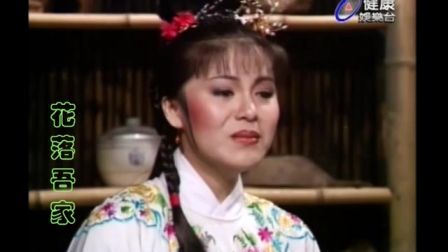 杨丽花歌仔戏《虎胆义魄12》高清