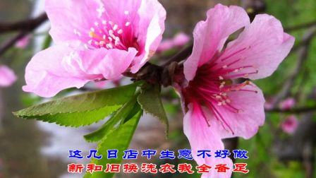 湖南花鼓戏《斩蔡鸣凤》 欲诉心事泪双流MV