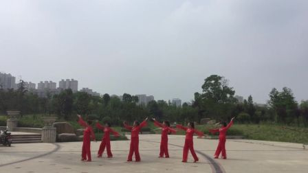 梅苑广场舞高清