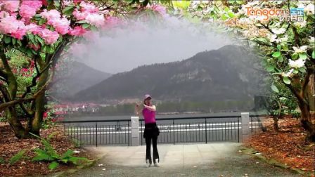 刘荣广场舞《舞动中国》含背面分解动作教学
