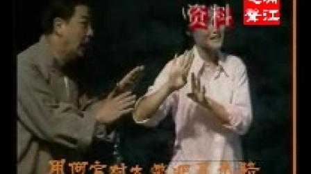 淮剧《奇婚记》刘少峰梁国英主演6下载