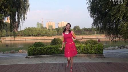 美久广场舞《两只流泪的鹅》背面展示与动作分解标清下载