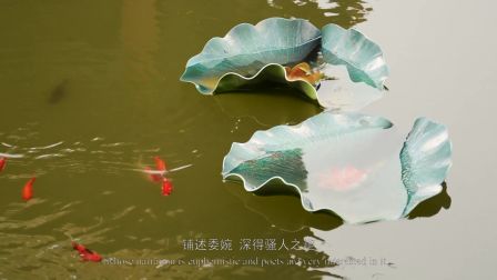 文化遗产在山西 晋南地方戏曲《蒲剧》纪录