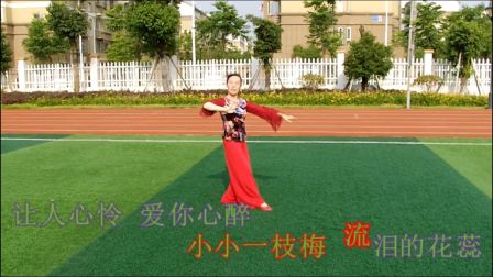 广场舞一枝梅《编舞廖弟 演示浮萍》下载