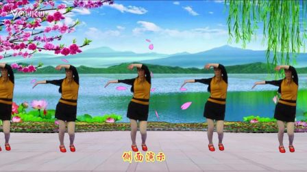 北湾广场舞《步步高迪斯科》高清