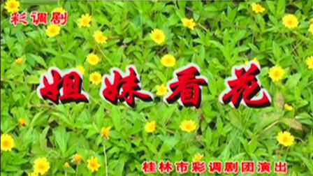彩调剧《姐妹看花》李剑敏