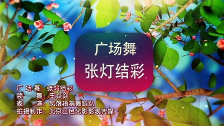 《张灯结彩》林荫大道小区广场舞教学视频