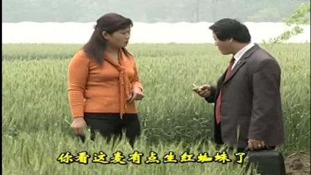 民间小调《公公婆婆看家狗》田间地头是战场