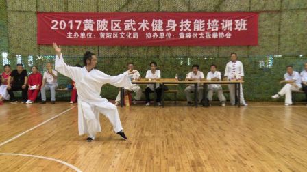 武当陈师宇道长及弟子太极拳演示20170628