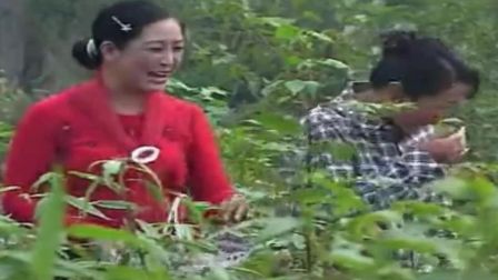 民间小调《穿错衣服认错媳妇》两个女人去采