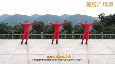 武阿哥广场舞《红尘情歌》16步 含背面动作