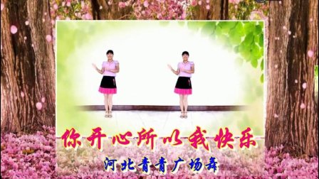 河北青青广场舞《你开心所以我快乐》附背面