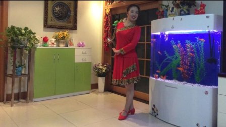 广场舞《我的大草原》