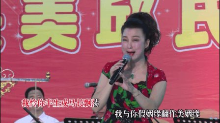 潮剧《此恨绵绵天地间》字幕版下载