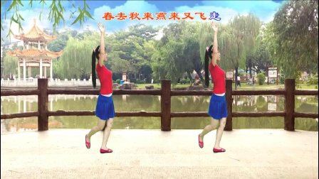平淡广场舞《等你等了那么久》32步 编舞子